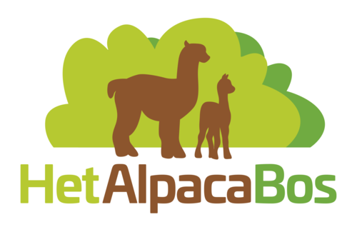 the alpaca forest
