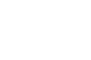 Land of Bartje