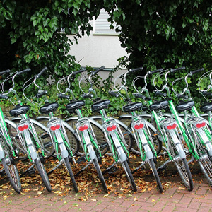 Bike rental image 1