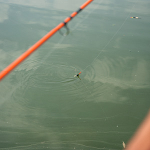 Fishing ponds image 3