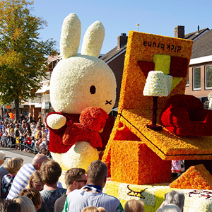 Foundations & Associations Image 1