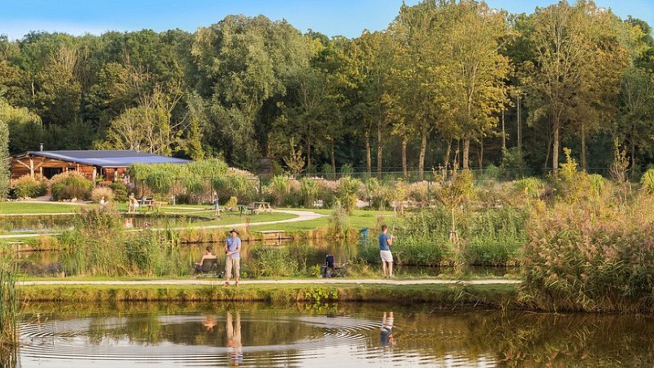 Toms Creek background